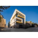 پروژه ارتش نیکان